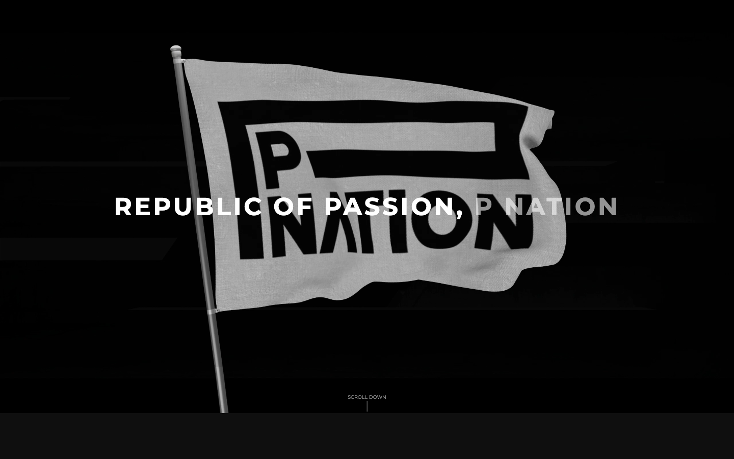 싸이 소속사 사이트가 다운됐다 — pnation.com 긴급 서버 복구